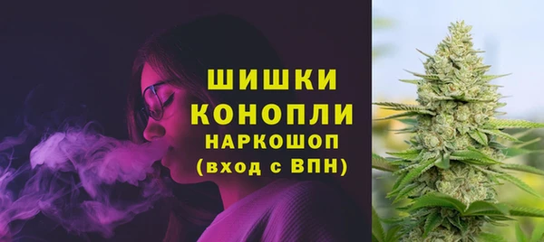 ешки Протвино