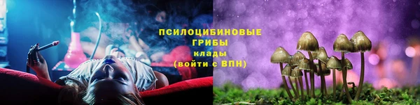 прущие крисы Алзамай