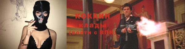 кокс Алексин