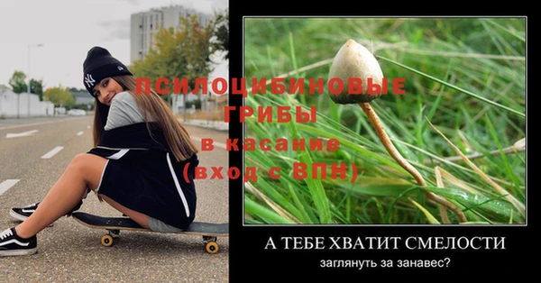 шишки Алексеевка
