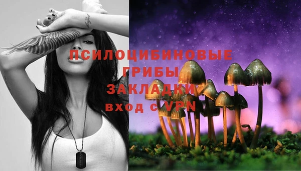 ешки Протвино