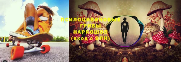 шишки Алексеевка